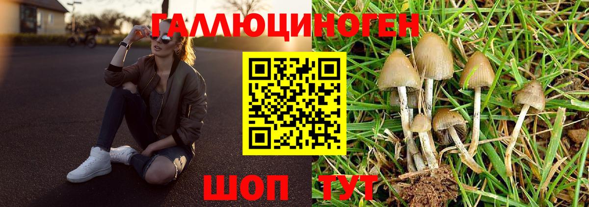 Псилоцибиновые грибы мицелий  Вход с VPN  Дальнегорск  Псилоцибиновые грибы прущие грибы 